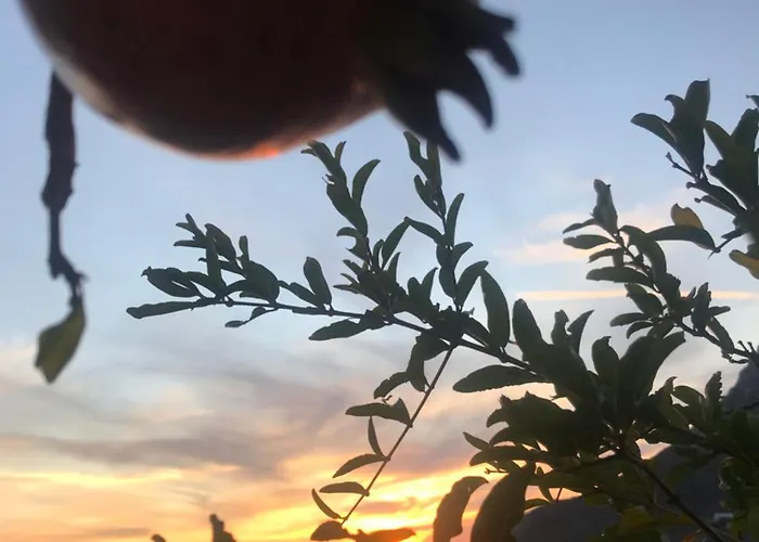 Galini View & Apartamento *