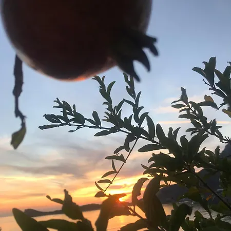 Galini View & דירה *