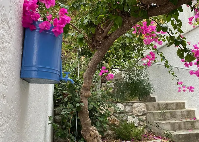 Apartment Galini View & *