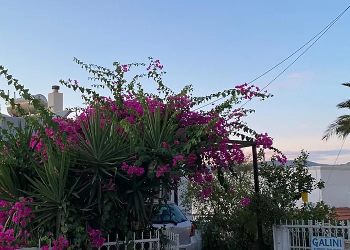 Apartment Galini View &